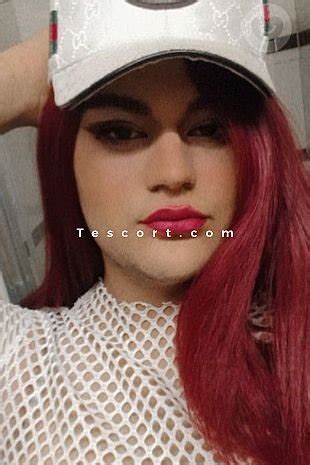 escorte trans rennes|Escortes Trans et Travestis a Rennes Rennes 